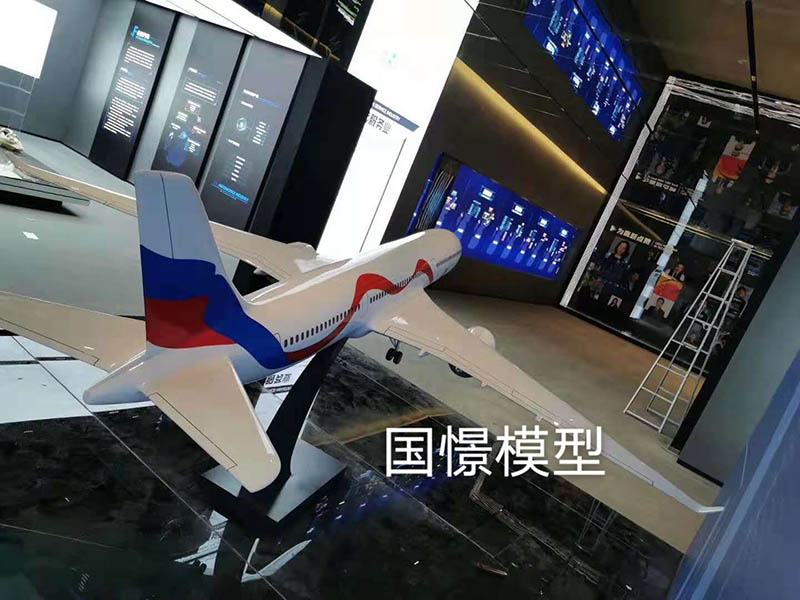 清徐县飞机模型